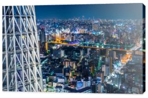 Koncepcja biznesowa Azji nieruchomości i firmy budowlane - panoramiczny miejskich skyline ptaka pod Zmierzch niebo i neon noc w Tokio, Japonia