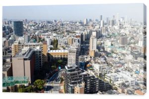 Tokio, Japonia, 2 listopada 2023 r.: Rozległy krajobraz powietrzny przedstawiający gęste środowisko miejskie