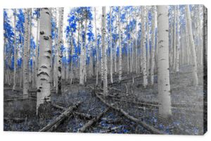 Niebieskie drzewa w surrealistycznej scenerii leśnego krajobrazu