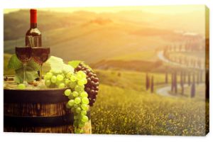 Czerwone wino z beczką na winnicy w zielonej Toskanii we Włoszech