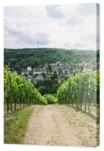 droga do wsi i winnic na boki w Würzburg, Niemcy
