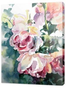 oryginalny obraz akwareli różowych róż