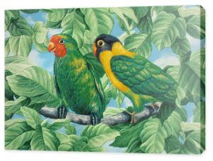 two painted parrots