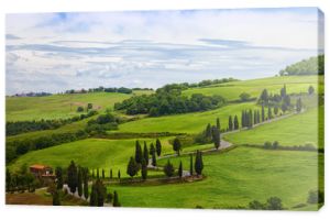 Piękny krajobraz Toskanii z krętą drogą i cyprysami