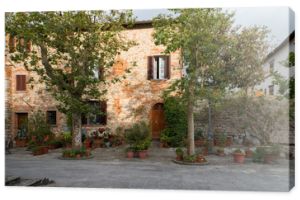 Typowy toskański dom z dużą ilością doniczek w średniowiecznym miasteczku Lucignano we Włoszech.