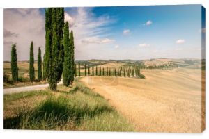 Piękny krajobraz krajobrazy Toskanii w Włochy - cyprysów wzdłuż drogi biały - widok z lotu ptaka - niedaleko Asciano, Toskania, Włochy