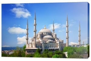 Meczet Sułtana Ahmeda (Błękitny Meczet) w Stambule, Turcja