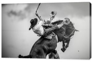Gaucho na rodeo