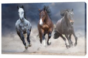 Stado koni biegnie swobodnie po pustynnym pyle na tle burzowego nieba
