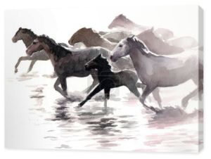 Delikatny akwarela w wąski asortyment kolor: stado koń galopuję przez woda. Konie malowane wodą i słońcem. 