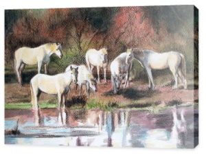 Akwarela: stado białych koni nad wodą.