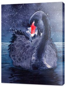   Watercolor picture of a beautiful black swan on the sparkling water with the starry night background