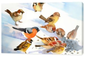 Ptaki jedzą nasiona na śniegu