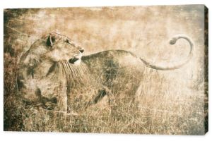 Młode lwy w Parku Narodowym Nakuru, Kenia