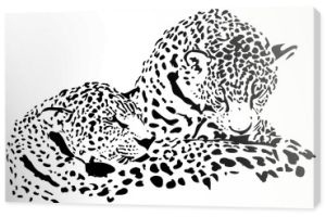 Wielkie koty Jaguar, gepard, lampart, ilustracja wektorowa, na białym tle