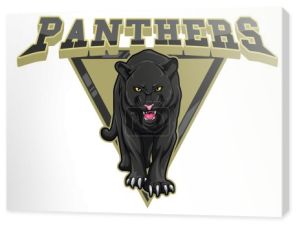 Panthers projekt ilustracja kolorowy