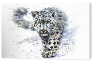 Snow leopard akwarela