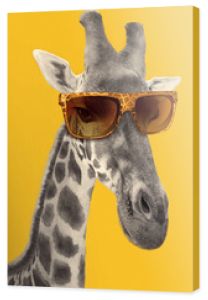 Portret żyrafy w modnych okularach przeciwsłonecznych