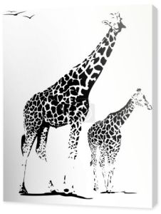 ilustracja żyrafa