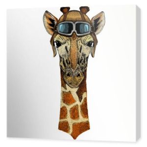 Głowa żyrafy. Portret dzikiego zwierzęcia. Klasyczny hełm pilota z googlami.