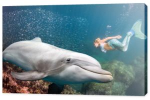 delfin pod wodą spotyka blond syrenę