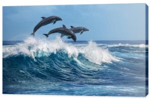 Zabawne delfiny przeskakujące przez fale. Hawaje Pacyfiku dekoracje przyrody. Zwierzęta morskie w naturalnym środowisku.