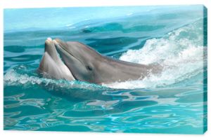 Zakochana para delfinów