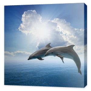 Skoki delfinów