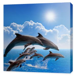 Skaczące delfiny