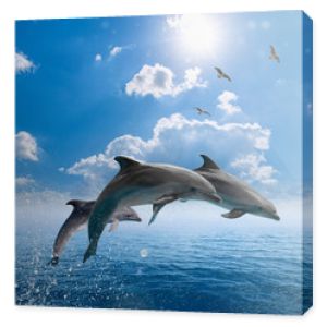 Delfiny wyskakują z błękitnego morza, mewy latają wysoko na błękitnym niebie