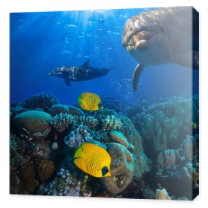 podwodne sceny z dwa delfiny i żółta ryba z tłem Koral