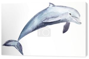Delfin akwarela pojedynczy element ilustracja. Szablon do dekoracji wzorów i ilustracji.
