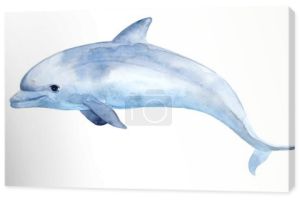 Słodki delfin. Ilustracja akwarela.