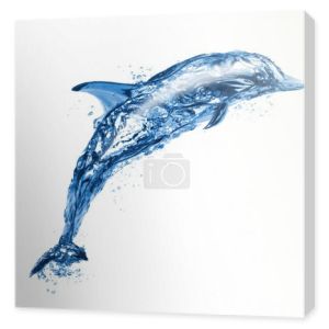 skoki delfinów wody, na białym tle