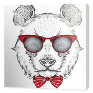 Image Portret panda w krawacie iw okularach. Ilustracja wektorowa rysować ręka.