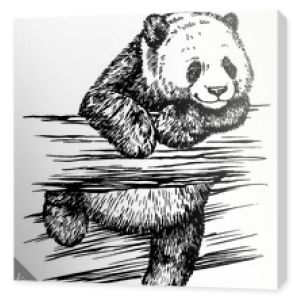 grawerować ilustracja panda rysować tuszem