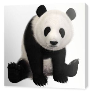 3d renderowanie cute panda