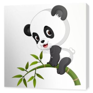 słodkie śmieszne dziecko panda wiszące na bambus