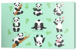Słodkie Panda postać w różnych sytuacjach zestaw