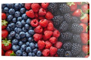 Zdrowe mieszane owoce i składniki z widoku z góry