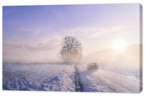Sylwetka samochodu przez mgłę na zimowy poranek
