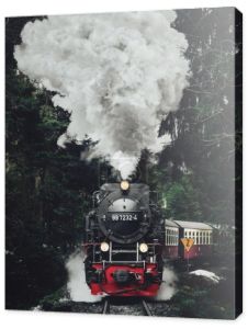 Słynnym Glacier Express Parowa lokomotywa w górach Szwajcarii