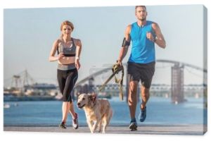 pary sportowe jogging z psem
