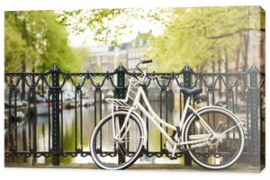 rower na ulicy amsterdam w mieście