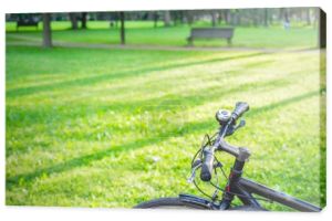 Rower w parku w słoneczny dzień, rower w parku w pięknym Su