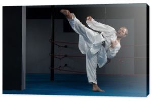 Ekspert Karate Czarnego Pasa z Postawą Walki