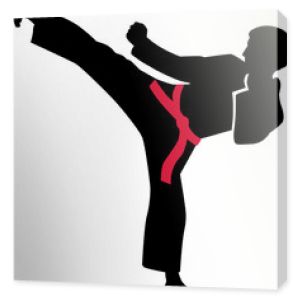 Kopnięcie karate z czerwonym pasem
