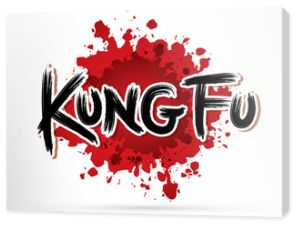 Tekst kung fu na wektor graficzny splash krwi.