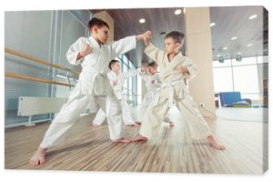 młode, piękne, odnoszące sukcesy multietyczne dzieci w pozycji karate