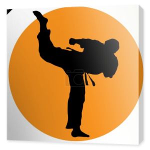 Sztuki walki. Karateków walki scena sylwetka szkolenie plakat.